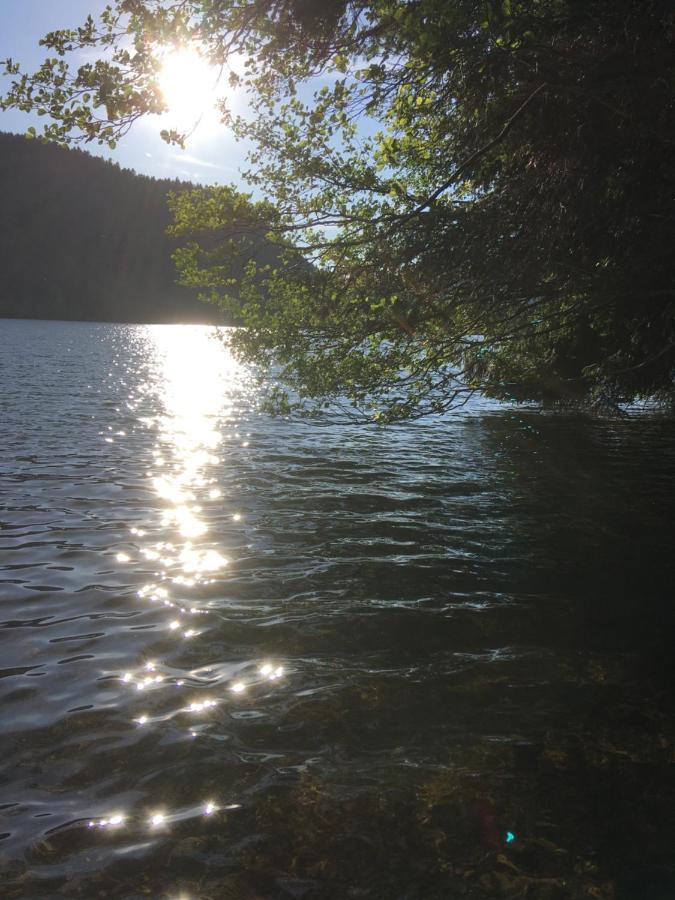 Appartamento Le Petit Kichon Gérardmer Esterno foto