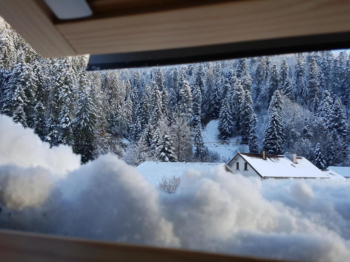 Appartamento Le Petit Kichon Gérardmer Esterno foto