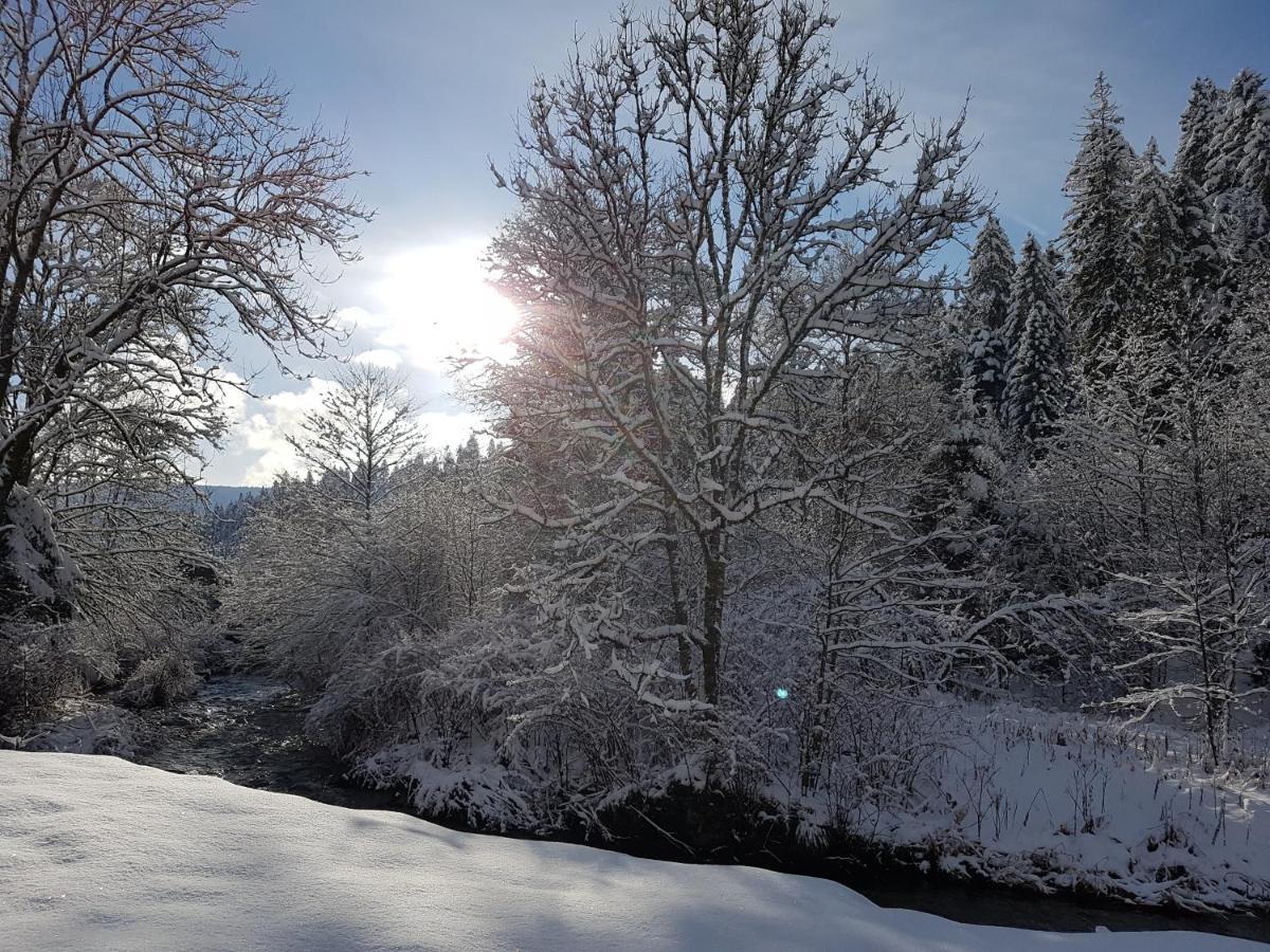 Appartamento Le Petit Kichon Gérardmer Esterno foto