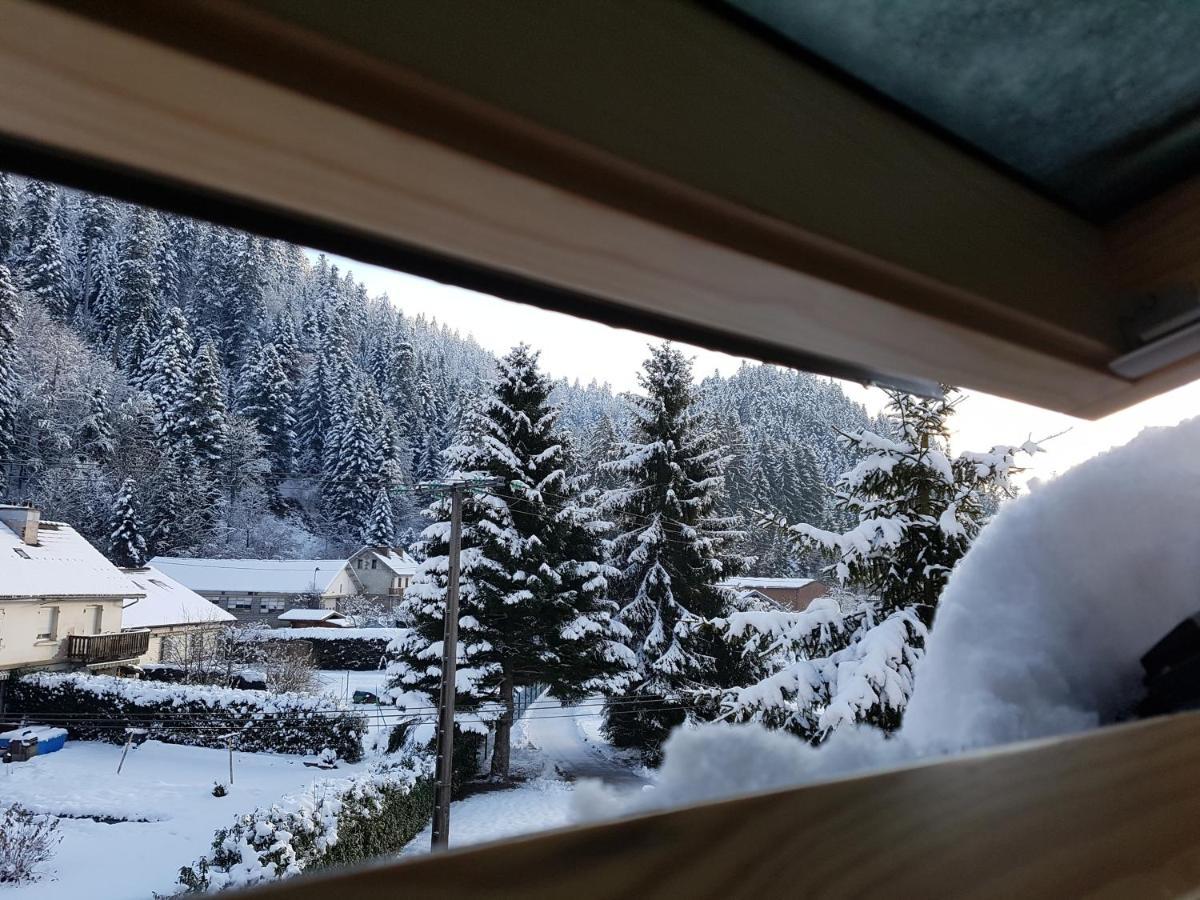 Appartamento Le Petit Kichon Gérardmer Esterno foto