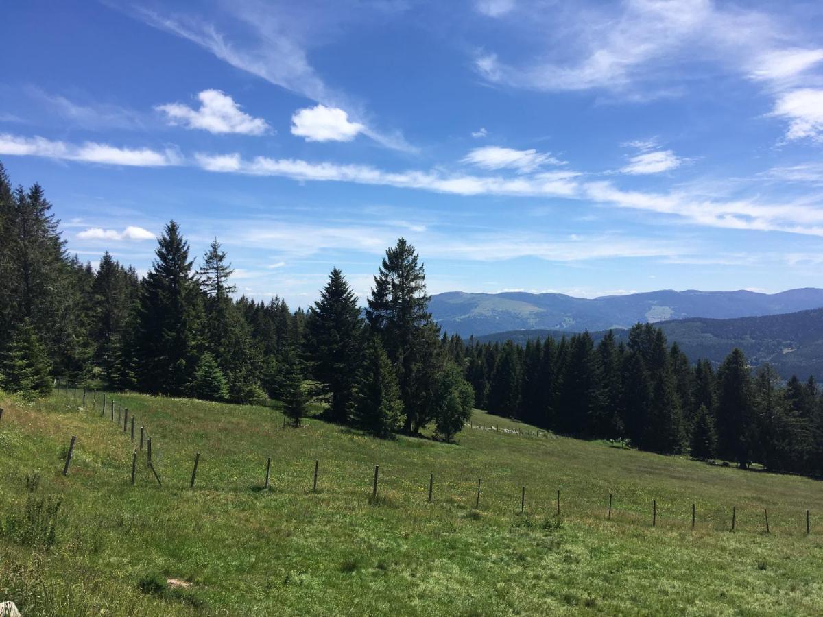 Appartamento Le Petit Kichon Gérardmer Esterno foto