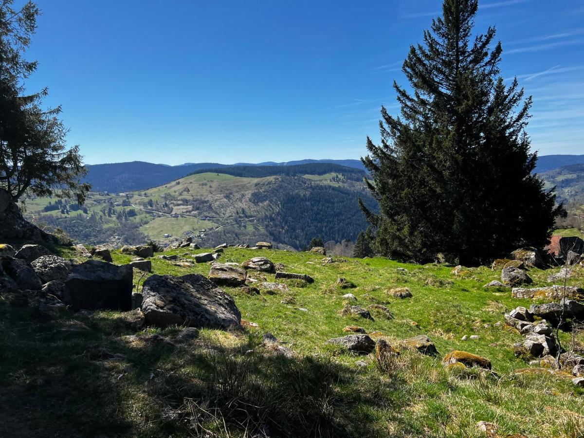 Appartamento Le Petit Kichon Gérardmer Esterno foto