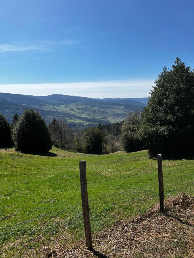 Appartamento Le Petit Kichon Gérardmer Esterno foto